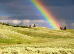arcobaleno 17 lista